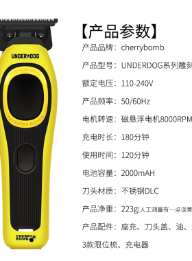 CHERRYBOMB通用磁悬浮电机