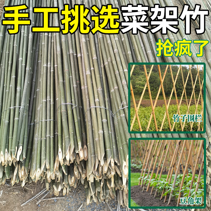 竹竿菜园搭架豆角黄瓜番茄爬藤架园艺篱笆围栏旗杆细竹子新品包邮 - 图1