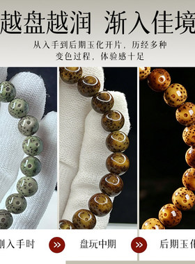 天然海南绿阴皮石玉料手持手串男