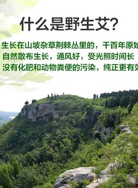 沂蒙山艾草包无硫熏泡澡泡脚包 男女足浴粉包农家自然晾晒小叶艾