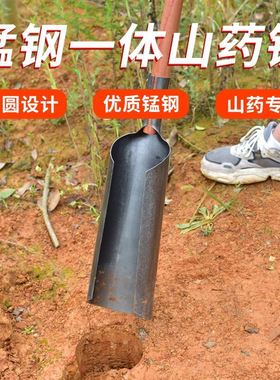 树苗挖外泥铲加厚移工树桩树坑户树铲轨道沙铲不锈钢栽具铁锨家用