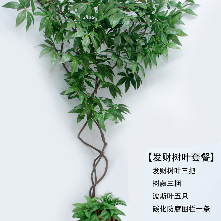 仿真发财树叶子树枝假树叶装饰塑料绿叶绿色植物造景橄榄叶芒果叶-图2