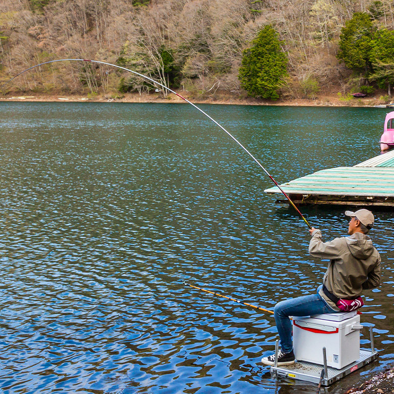 DAIWA达亿瓦 24新款清镜鲤 刚力 并继鲤竿野钓休闲台钓杆黑坑偷驴,淘宝优惠券,粉丝福利购,淘宝优惠卷