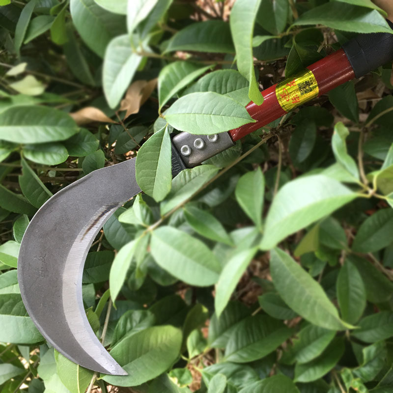 农用工具65锰钢镰刀户外割草刀砍割两用长柄廉刀加厚弯刀收割玉米 - 图0