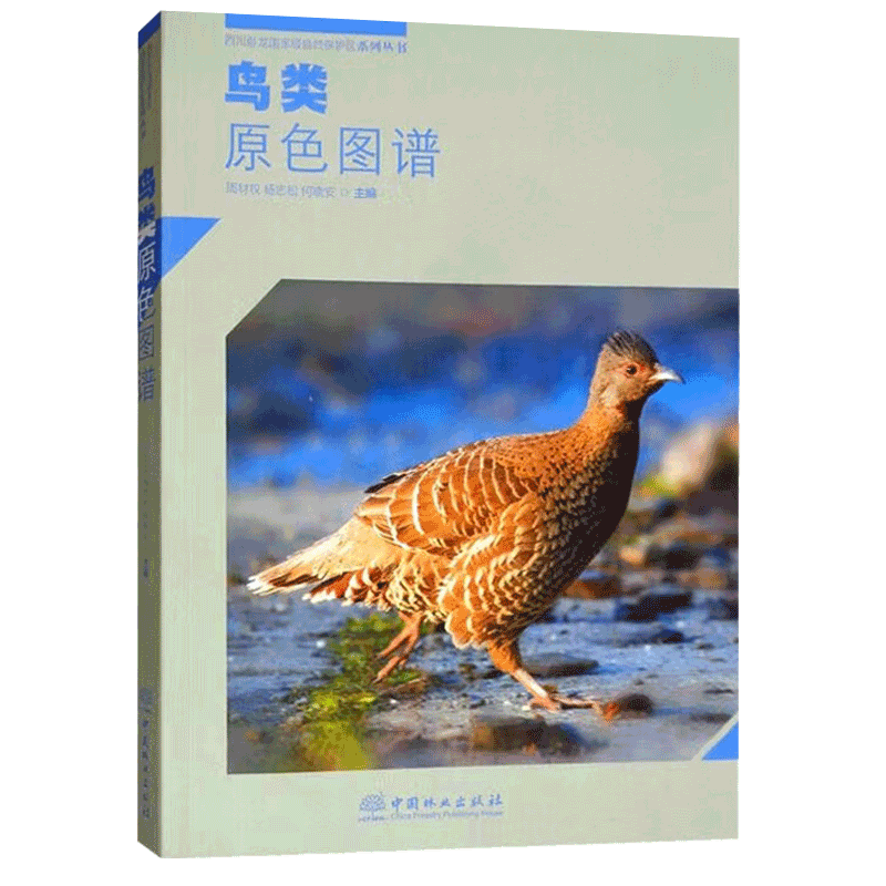 鸟类原色图谱 0152 周材权 杨志松 何晓安 主编 四川卧龙国家*自然保护区系列丛书 中国林业出版社