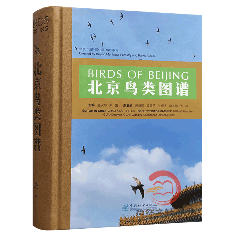 北京鸟类图谱带你了解身边的“朋友鸟类科普读物赵欣如朱雷 1384中国林业出版社-图3