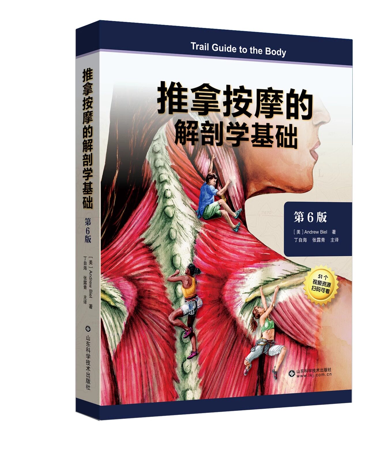 推拿按摩的解剖学基础 第6版 丁自海 51个推拿按摩视频教程手法小儿按摩推拿书 山东科学技术出版社9787572318719