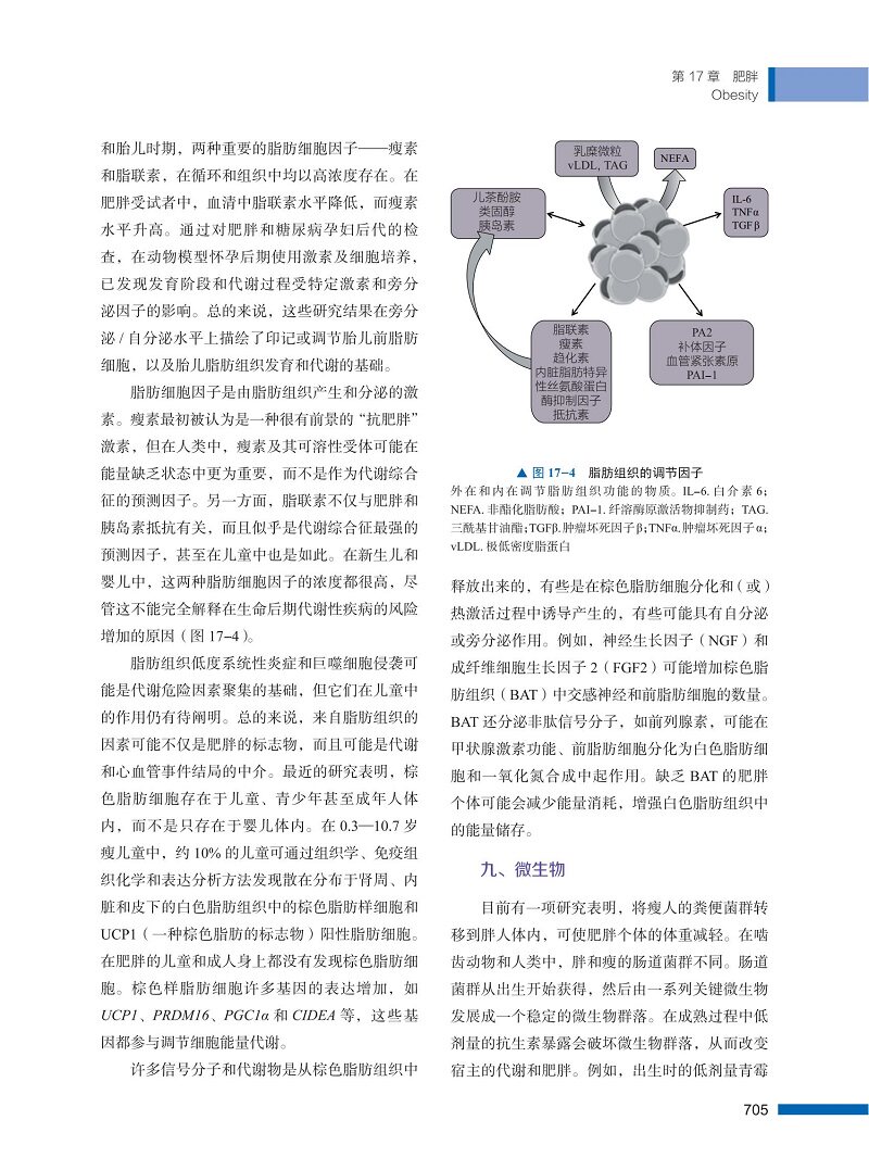 正版brook临床儿科内分泌学原书与 医医图书儿科学