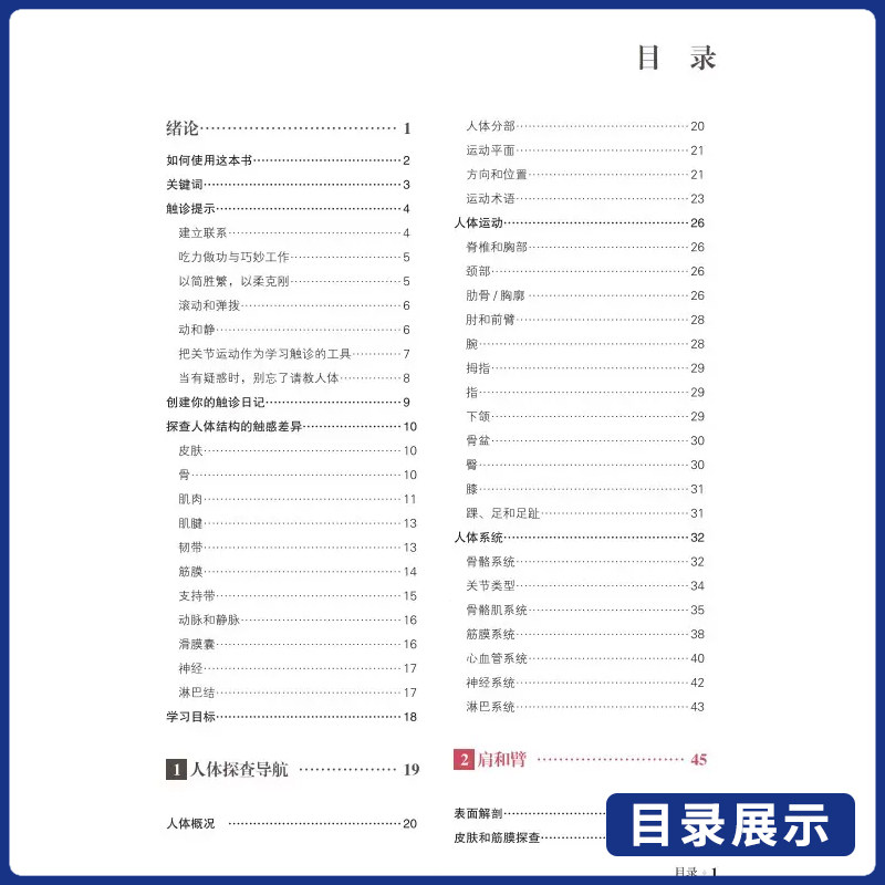 推拿按摩的解剖学基础 第6版 丁自海 51个推拿按摩视频教程手法小儿按摩推拿书 山东科学技术出版社9787572318719