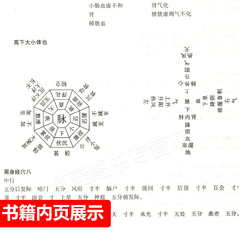 正版 朱丹溪医学全书 唐宋金元名医全书大成 田思胜 医学 中医 基础理论书 中国中医药出版社 - 图2