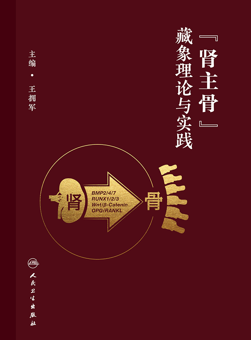 正版图书 肾主骨 藏象理论与实践 王拥军 主编 人民卫生出版社 9787117350037 重于实用 突出重点 医学卫生书籍 - 图0