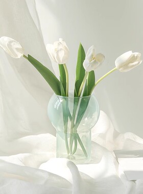 ins风 网红鲜花轻奢玻璃花瓶客厅水培插花桌面装饰家居摆件道具