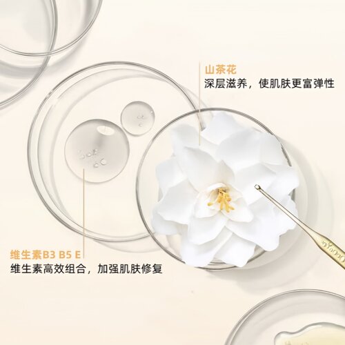 俄罗斯LOREAL欧莱雅金致臻颜65+抗皱滋润紧致日霜晚霜面霜50ml - 图1