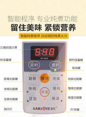 全自动多功能炖汤锅电炖锅煲汤