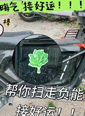 柚子叶转印贴水晶标手机空调去晦气转运防水平板笔记本水杯装饰贴