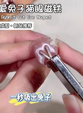 兔子爱心猫眼磁铁片2026年新款吸铁石模具多功能磁铁美甲专用工具