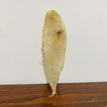 Thick Glue Small Fat Glue Earth Cod Cylinder Bar Male Fish Glue Flower Glue 80 Head Self-Tanned Rice Fish Gum Free Fish Glue Dry Goods