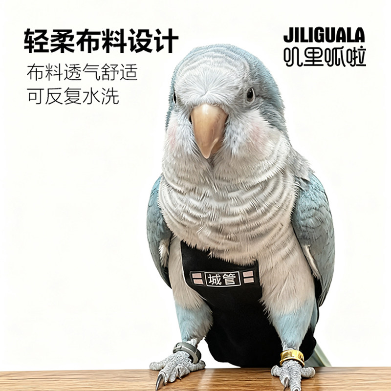 无底缝鹦鹉鸟用尿不湿衣服屎兜尿裤尿布飞行服玄凤牡丹虎皮放飞绳,淘宝优惠券,粉丝福利购,淘宝优惠卷