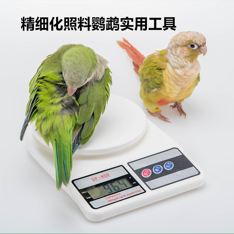 图4