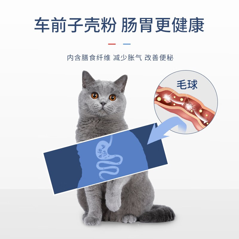 专宠红肉猫罐头法国配方增肥发腮明目靓毛呵护肠道健康170g整箱 - 图1