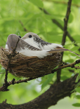 迷你仿真鸟巢小鸟蛋盆景装饰森系