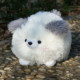 Fur ball puppy doll pp cotton soft dog cute dog doll