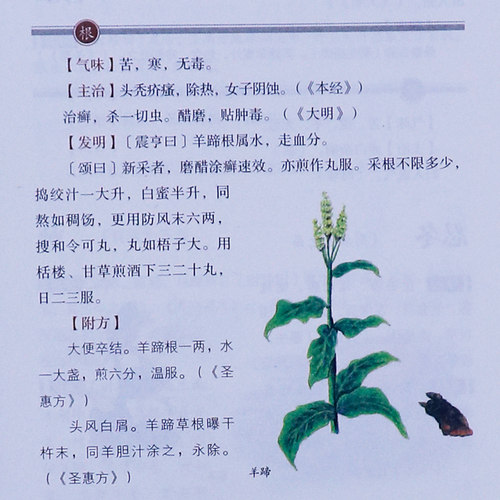 本草纲目正版李时珍原著原版烫金全套4册彩图版彩色详解中国药学巨著古典百科全书养生书籍中医正版中草药大全书中医书籍团结出版 - 图2