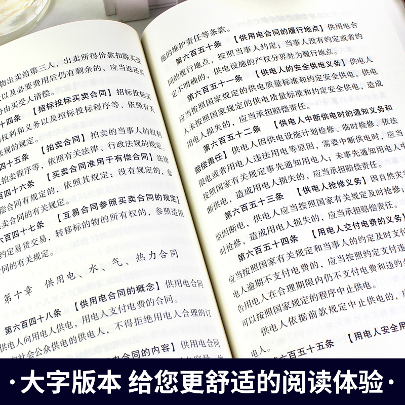 中华人民共和国民法典中国法律常识一本全大字全套 正版官方实用书籍公司劳动法注释版婚姻法刑法法律常识法律专业知识书籍 - 图2