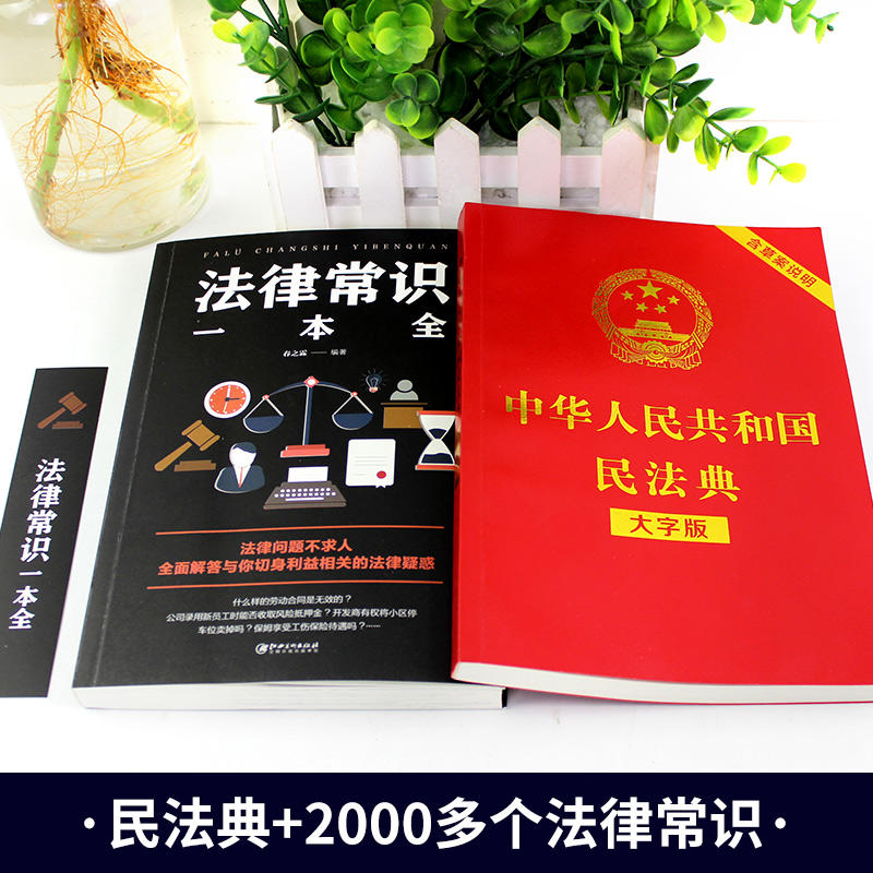 中华人民共和国民法典中国法律常识一本全大字全套 正版官方实用书籍公司劳动法注释版婚姻法刑法法律常识法律专业知识书籍 - 图0