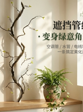 中式禅意仿真苔藓枯藤庭院窗台