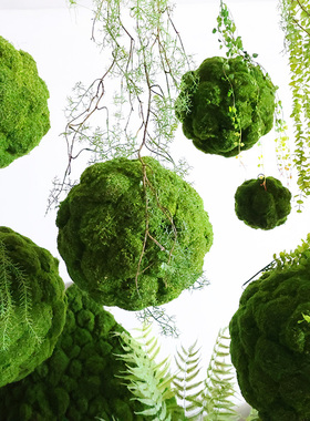 仿真苔藓球绿色悬挂青苔球