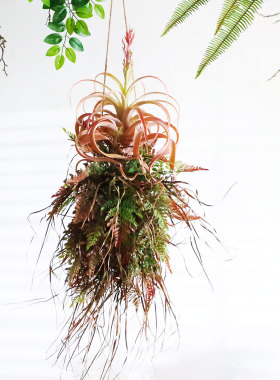 仿真蕨类植物吊饰挂饰室内绿植