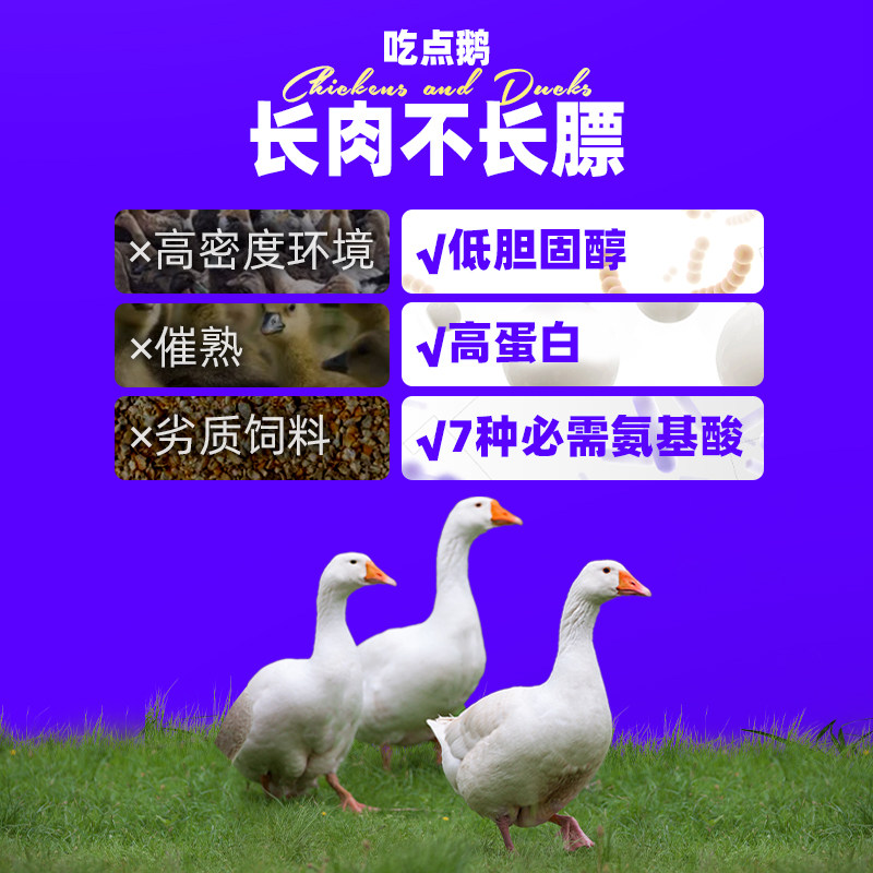 wowo喔喔全价猫粮风味大鹅旗舰店排行榜无谷营养型幼猫成猫粮20斤
