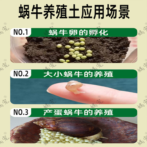 白玉蜗牛营养土养殖土饲养土野生蜗牛钙沙钙土腐质土椰土孵化土养 - 图1