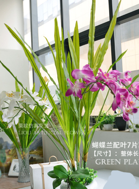 diy仿真插花落地绿叶蝴蝶兰