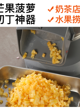 多功能切丁机小型超大料口切菜机
