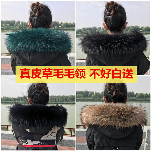 貉子毛领单卖真毛通用男女冬羽绒服大毛领狐狸毛领单买真皮草毛条 - 图2