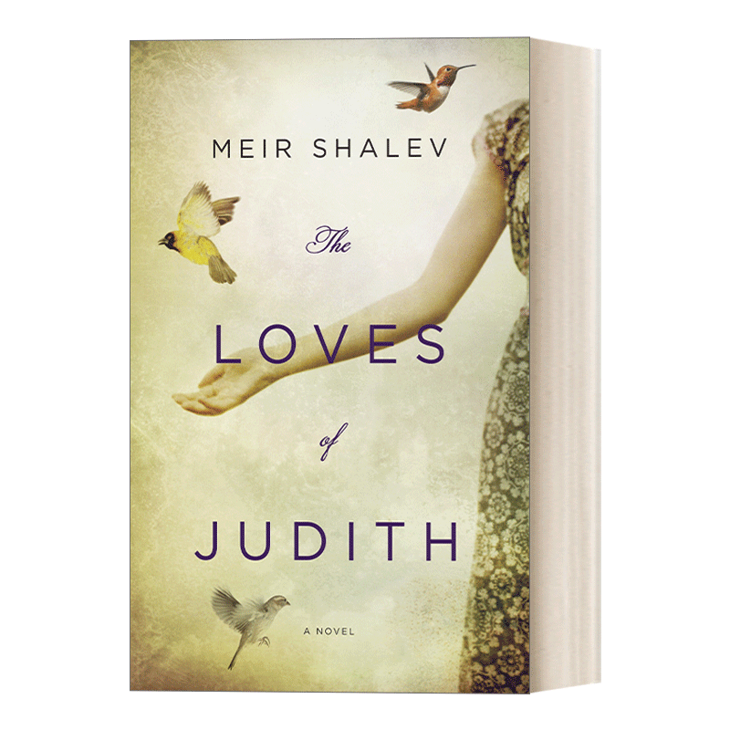 The Loves of Judith 朱迪斯的爱人们 女性小说 Meir Shalev - 图0