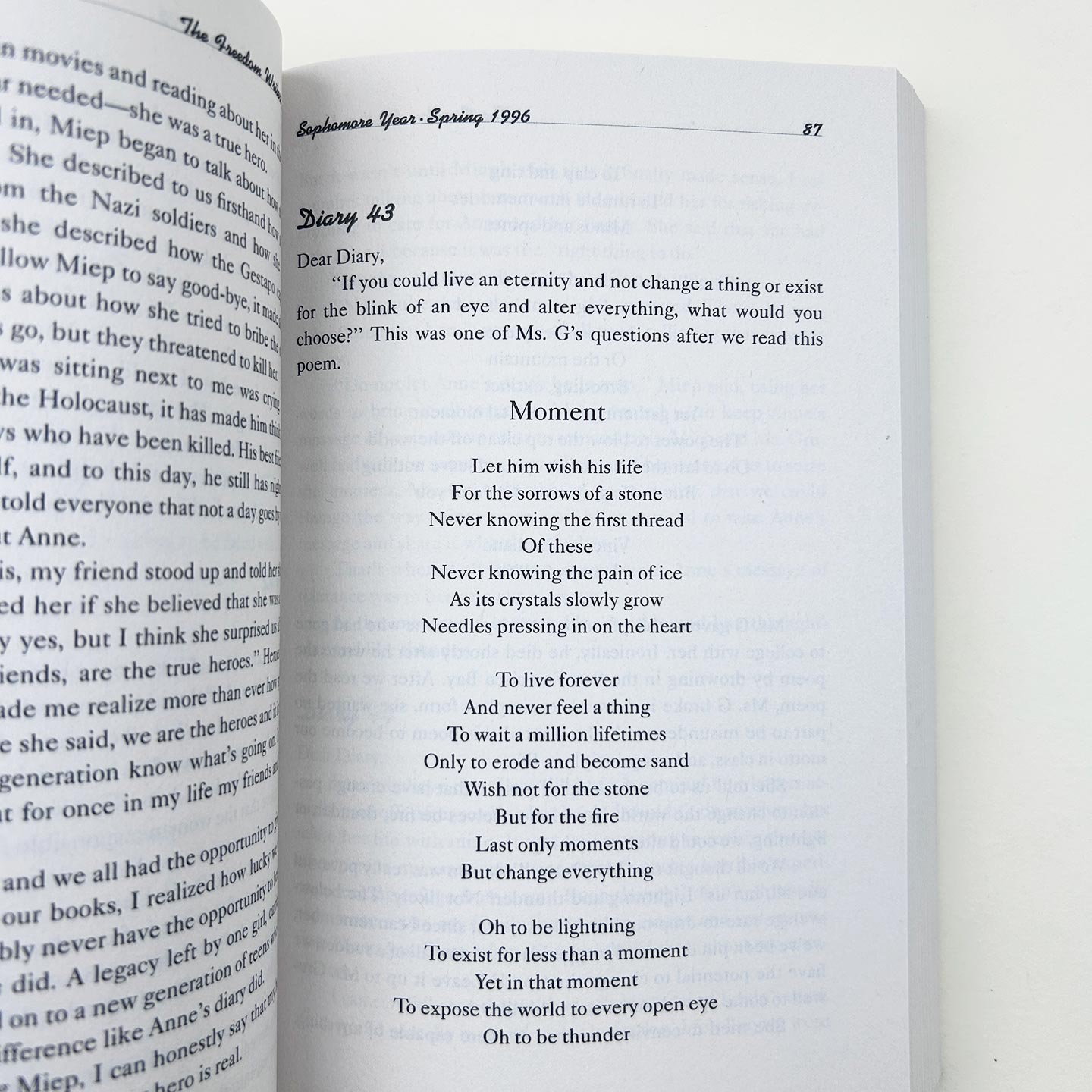 The Freedom Writers Diary 街头日记 放牛班的奇迹 如何通过写作来改变自己和周围的世界 英文原版社科读物 进口英语书籍