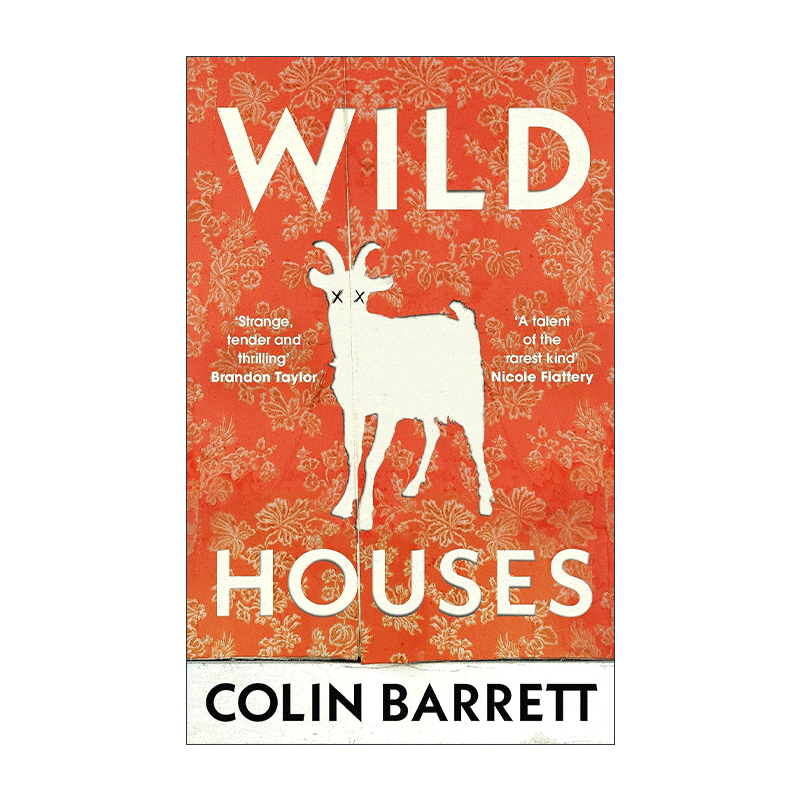 英文原版 Wild Houses 疯狂之屋 爱尔兰小说家科林·巴雷特 英文版 进口英语原版书籍