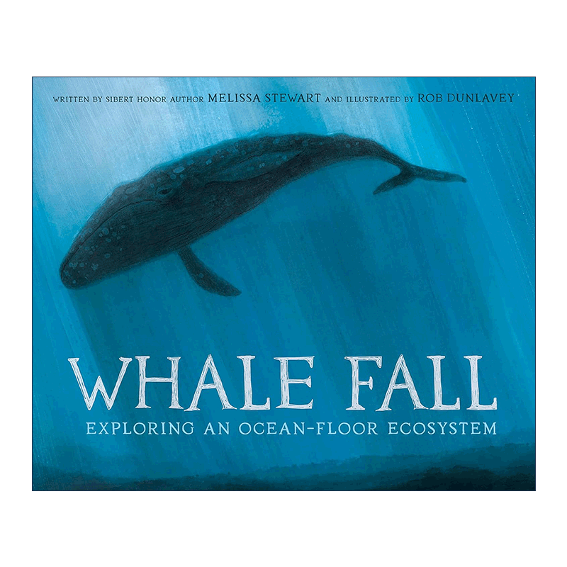 Whale Fall 鲸落 发现海洋生态 儿童精装科普百科绘本 Rob Dunlavey - 图0