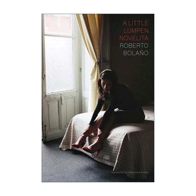英文原版 A Little Lumpen Novelita 一部流浪汉小小说 智利西班牙语作家Roberto Bolano波拉尼奥英译本 英文版 进口英语原版书籍 - 图0