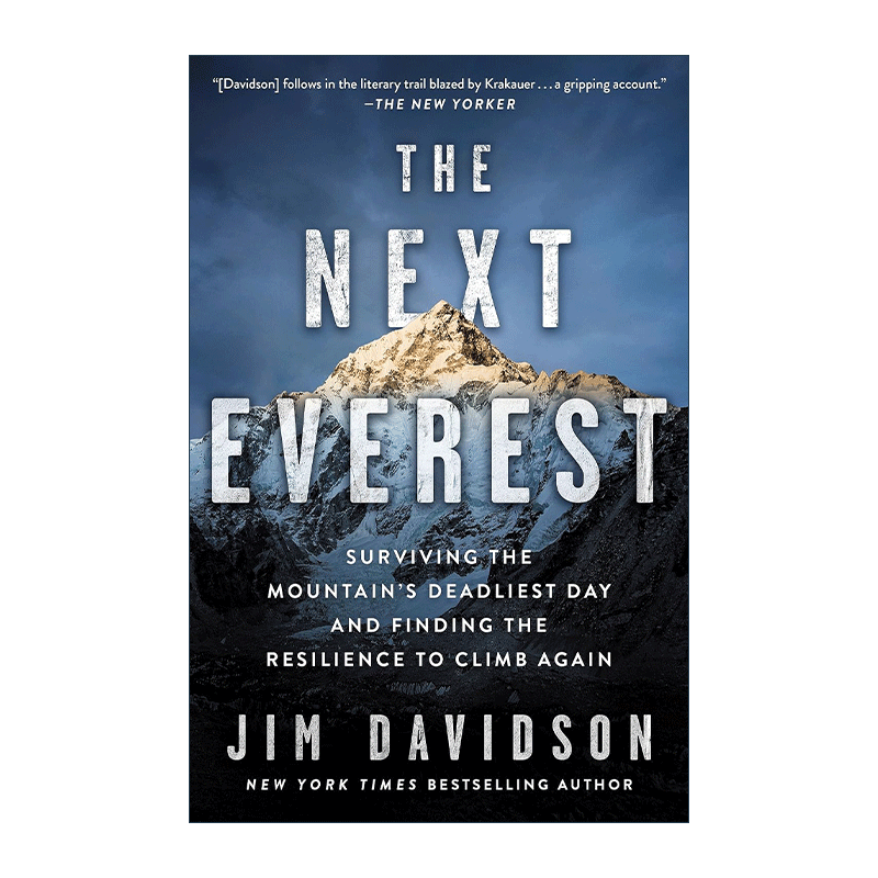 英文原版 The Next Everest 下一个珠穆朗玛 雪崩后在珠峰幸存的登山者传记 Jim Davidson 英文版 进口英语原版书籍 - 图0