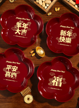 新年果盘2026新款家用春节瓜子盘