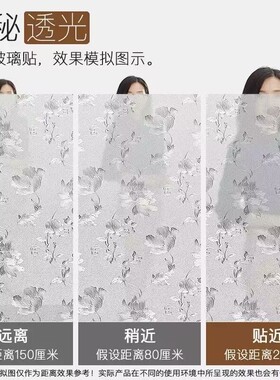 磨砂防晒保护隐私静电贴膜防走光玻璃窗防窥膜卫生间门透光不透明