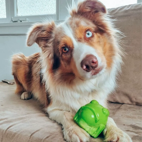 Протекающая игрушка Американские собаки и кошки содусания, резиновый устойчивый