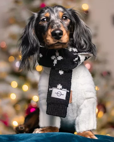 Шерстяная шляпа шарф Британская овергламская одежда осень и зимние вязаные кошки, собаки, маленькие собаки, а также