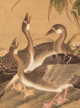 清代丘鉴芙蓉芦雁图传统花鸟国画复制品高清艺术微喷绢本临摹画心