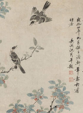 明沈周黄菊丹桂图临摹植物画稿