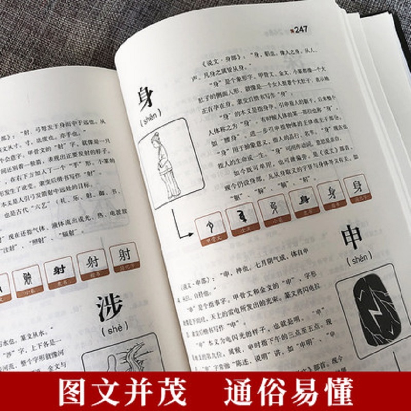 适合小学生阅读说文解字中华书局许慎著平装原版正版足本无删减版古代汉语字典古文字字典细说汉字中小学生学习汉字书籍-图0